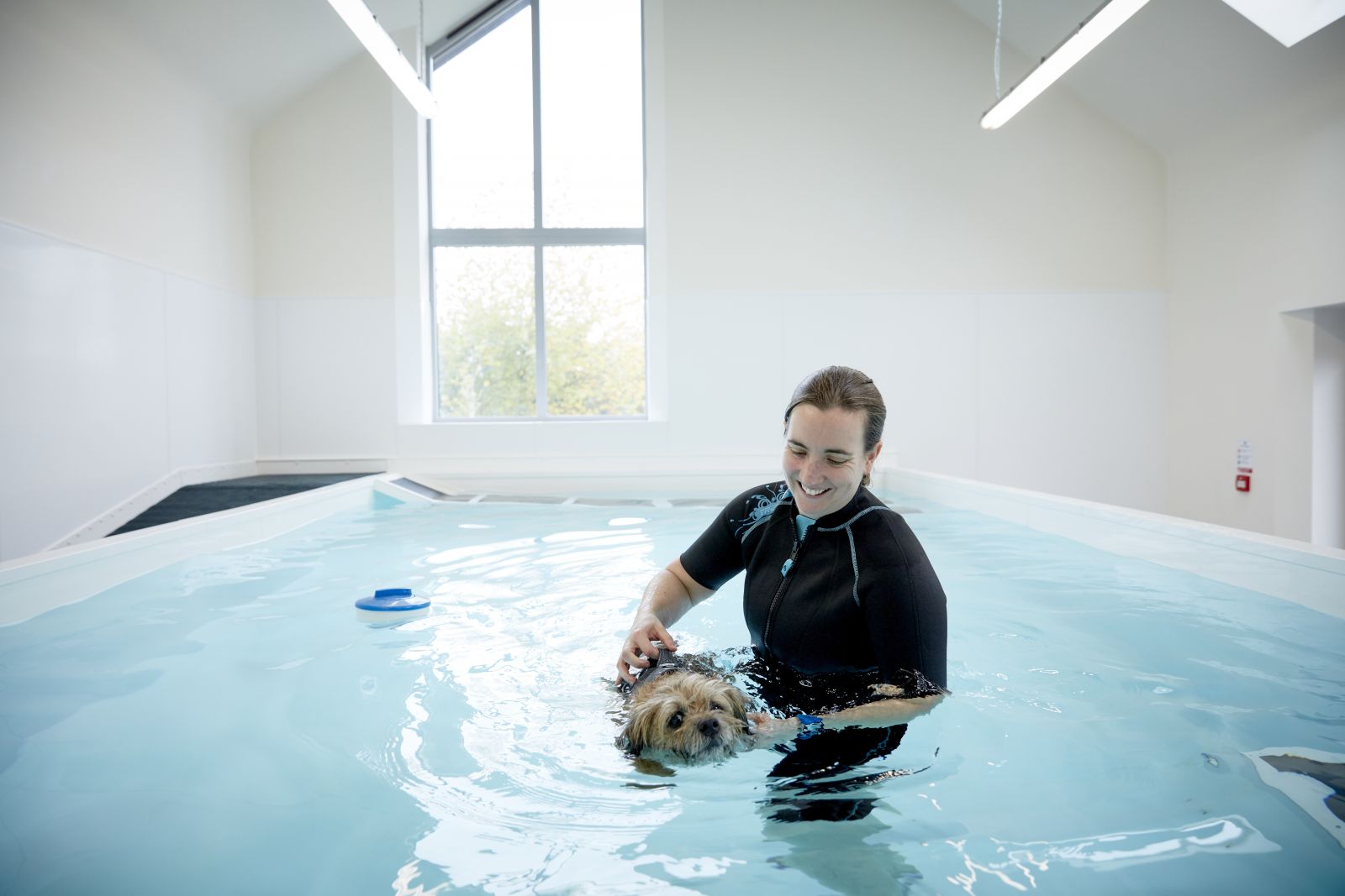 Harper Adams University Veterinary Harper Adams University